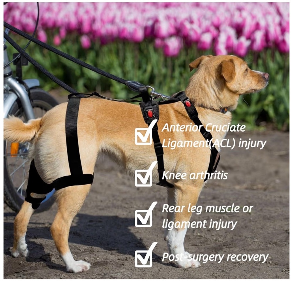 SurfPaws Professional Dog Knee Brace with Harness - Medium, New